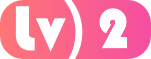 等级：2 级